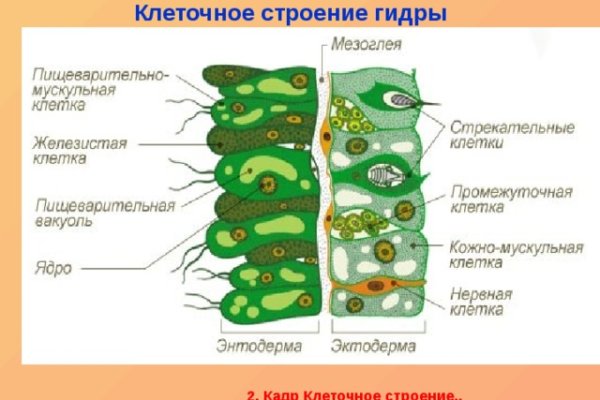 Забыл пароль кракен