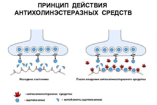 Кракен сайт для наркоманов